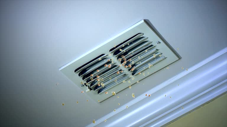 Best HVAC System Cleaning  in Roberta, GA
